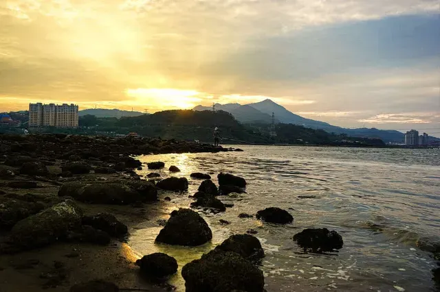 社子島濕地