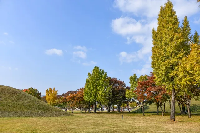 경주 기차여행 대릉원