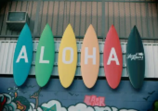 하와이 호놀룰루 여행 액티비티 추천부터 호텔 맛집 총정리