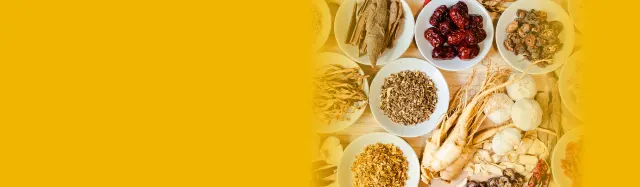 國際現代化中醫藥及健康產品會議