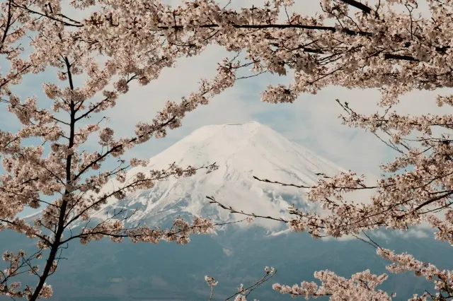 新倉山淺間公園