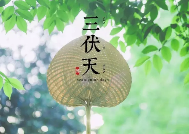 台灣三伏