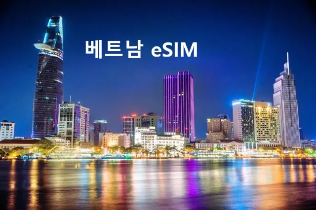 베트남 이심