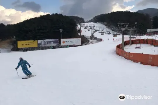 熊城度假村滑雪場