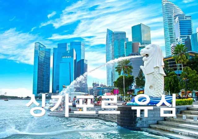 싱가포르 유심