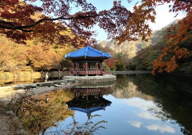 전북 단풍 명소 내장산
