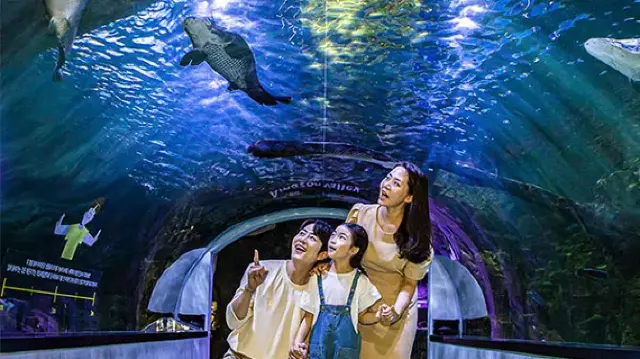 경기도 비오는날 데이트