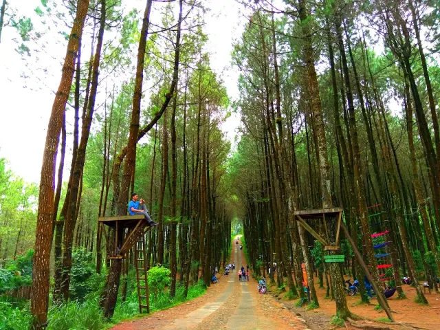 desa wisata kragilan