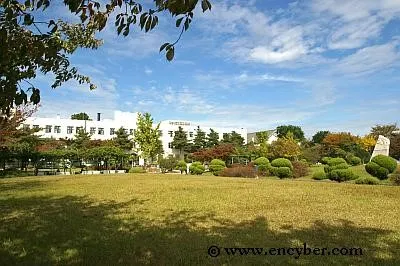 서울 벚꽃 개화시기 정독도서관