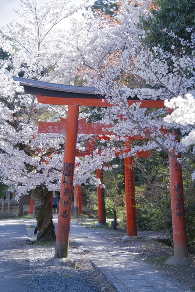 竹中稲荷神社
