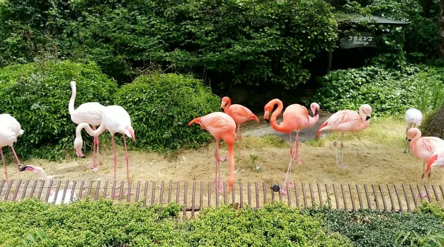 도베동물원