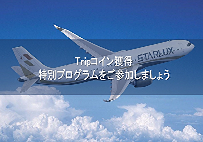 旅行に行った時に購入 楽天市場】レゴ クリエイター 31084 ローラーコースター : 未来屋 楽天