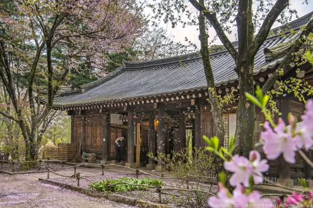 서울 근교 데이트, 서울 근교 바람 쐬기 좋은 곳, 춘천 남이섬