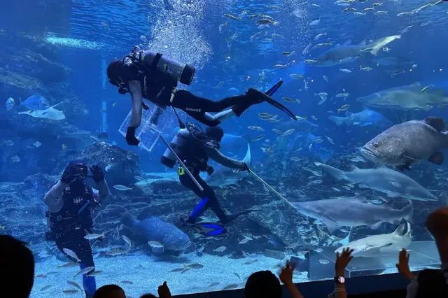 釜山 SEA LIFE 水族館