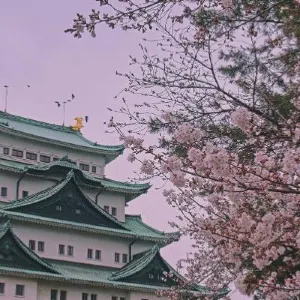 【名古屋交通】名古屋機場交通2026:中部國際機場去名古屋交通選擇