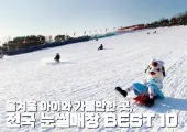 2025 전국 눈썰매장 BEST 10 총정리