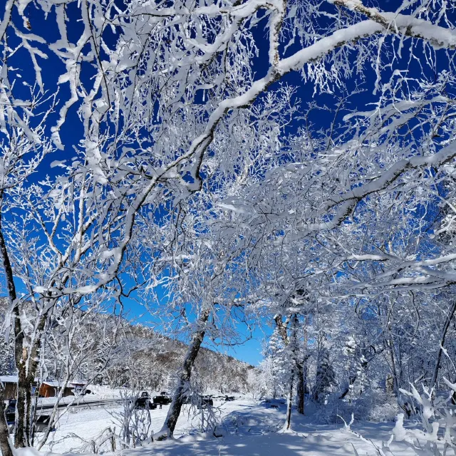 겨울 여행 추천