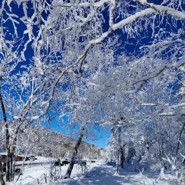 겨울 여행 추천