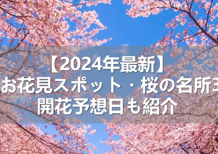 【2024年最新】全国のお花見スポット・桜の名所30選!開花予想日も紹介