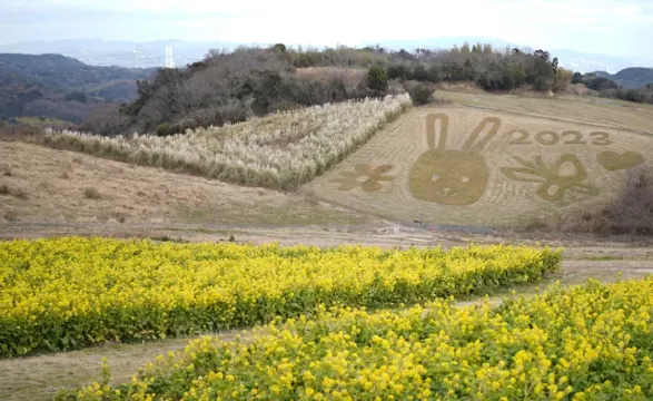 淡路島菜の花まつり