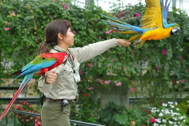 1mj0h12000iqgnc9wE56F.webp