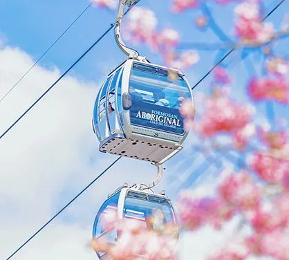 九族纜車