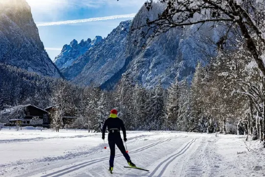 新增8個比賽項目
