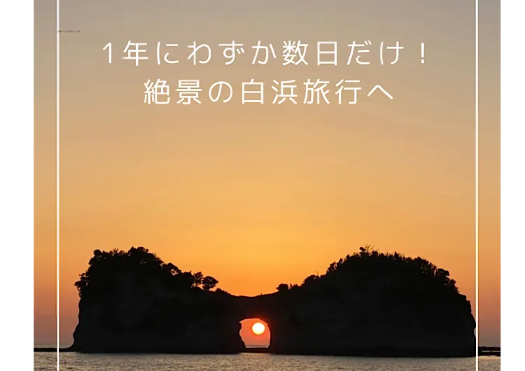 【宿泊記】一度は見たい！年に数日だけ出会える絶景の白浜旅行へ