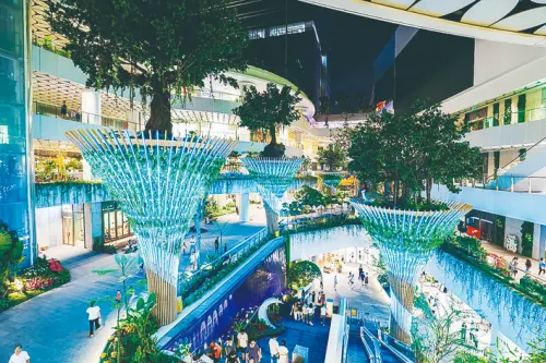 深圳在地自然博物園