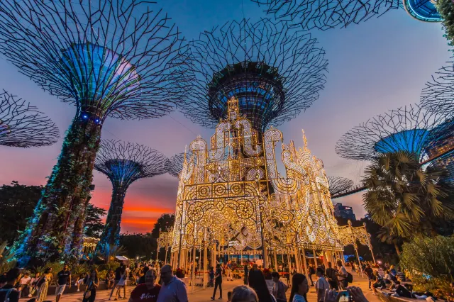 Christmas Wonderland 2025 Spalliera