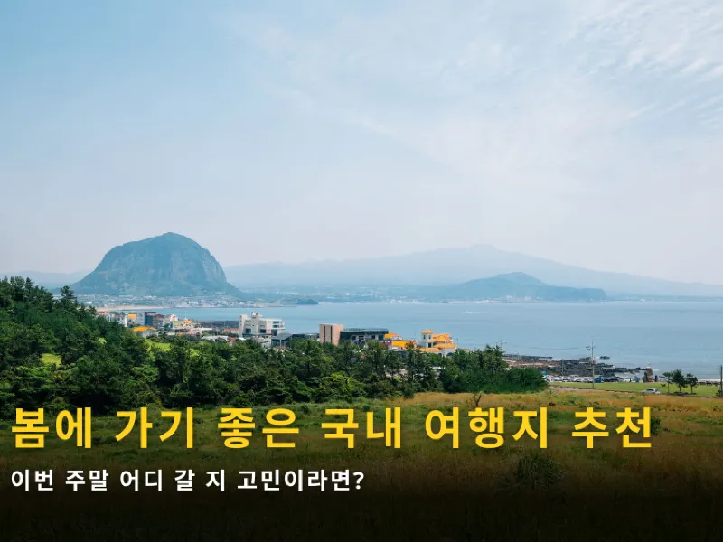 봄 국내 여행지 추천 봄 국내 여행지 추천