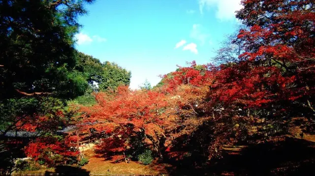 高台寺