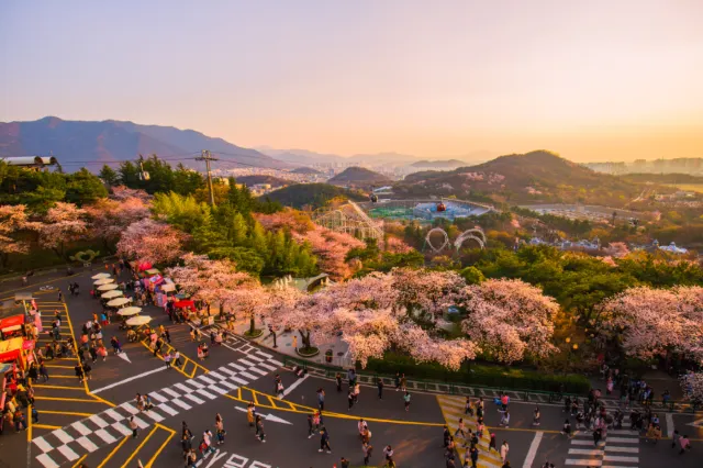 대구 기차여행