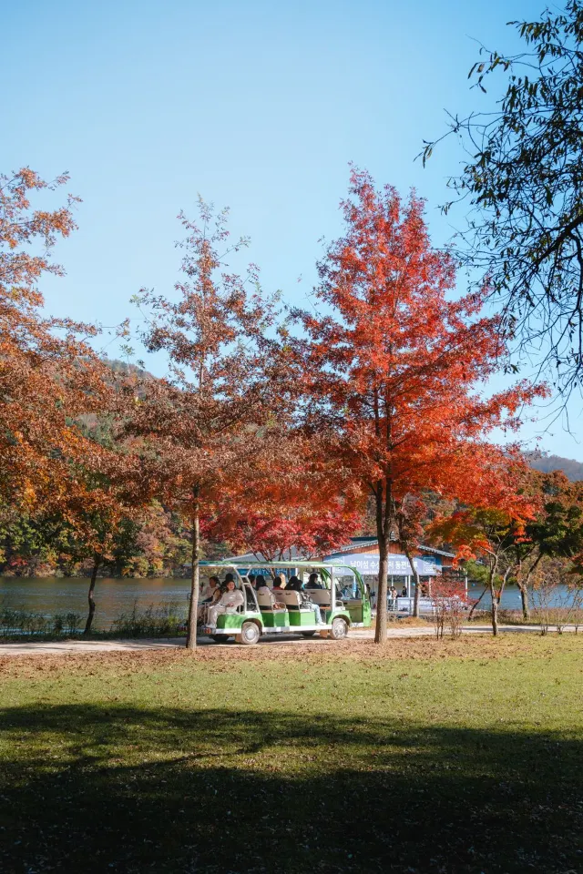 1mj0m12000saudr8gBBBA.jpg