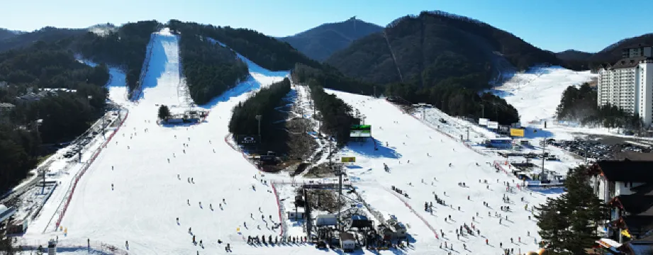 평창 모나 용평 스키장