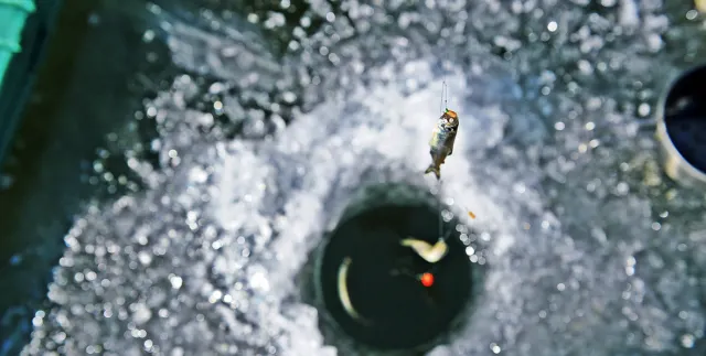 겨울 제철 음식 양오낚시터 빙어축제