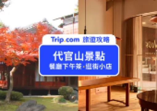 【代官山景點一日遊】東京最時髦的逛街巷弄,日本名媛都愛逛,最美蔦屋書店就在這!!