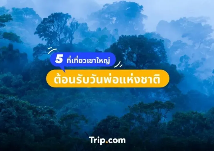 เที่ยวเขาใหญ่ วันพ่อแห่งชาติ 2565