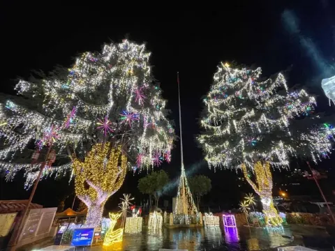 台中市 梨山谷關山谷燈光節