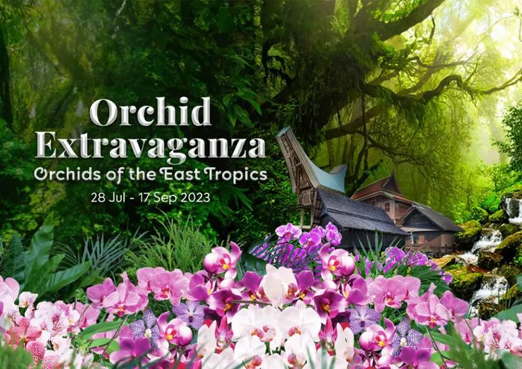 Orchid Extravaganza 2023: Orchids of the East Tropics