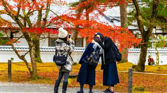 京都の紅葉