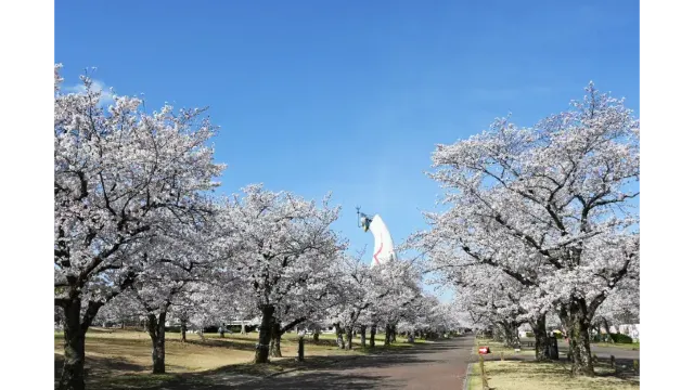 万博記念公園
