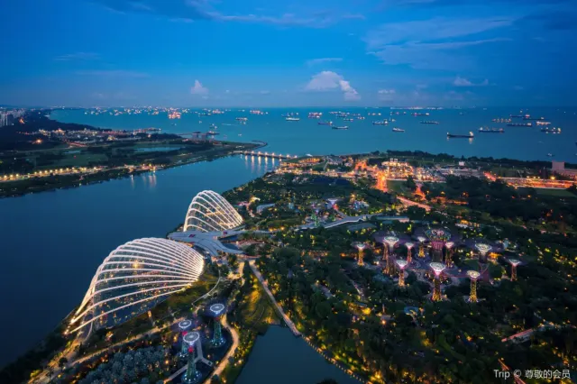 濱海灣金沙空中花園高空觀景台（SkyPark Observation Deck）