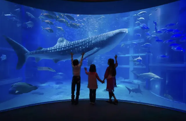 오사카 여행 해유관