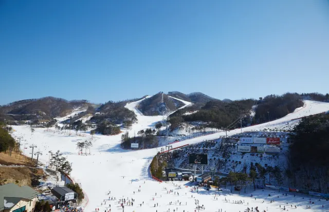 원주 오크밸리 스키장