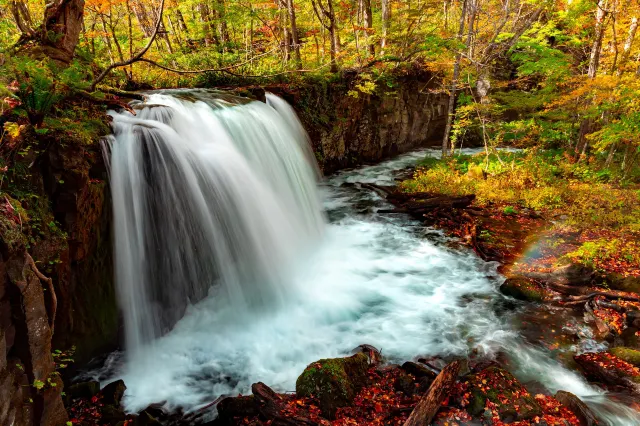 奧入瀬溪流