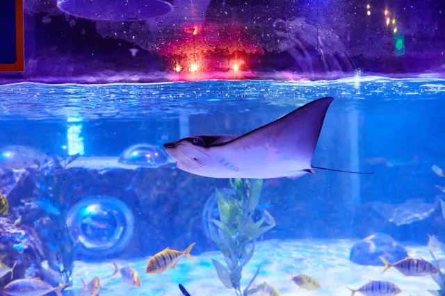 부산 실내데이트 씨라이프