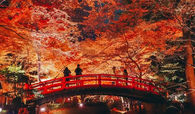 京都紅葉景點06北野天滿宮