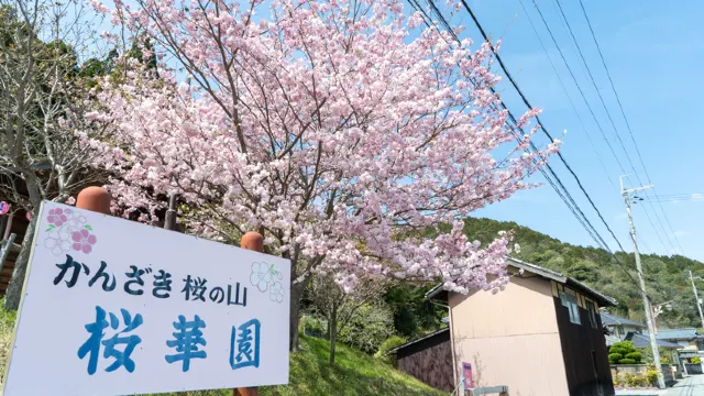 桜華園