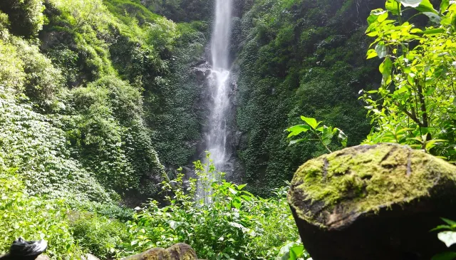 coban rais photo